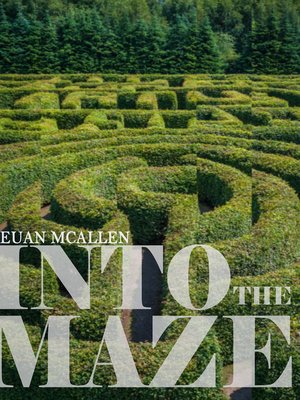 cover image of Into The Maze
